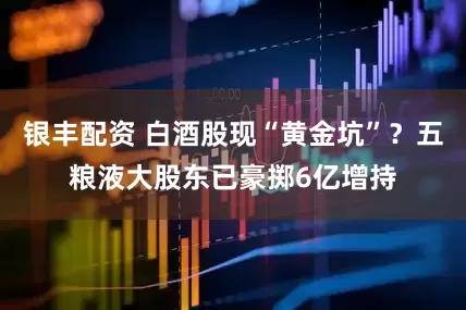 银丰配资 白酒股现“黄金坑”？五粮液大股东已豪掷6亿增持