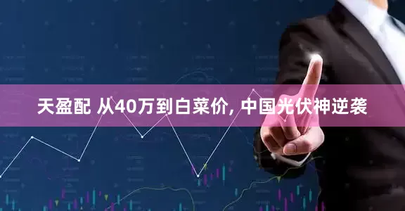 天盈配 从40万到白菜价, 中国光伏神逆袭